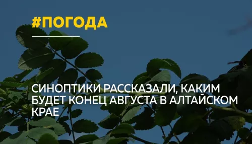 Жара, ливни и грозы: каким будет конец лета в Алтайском крае