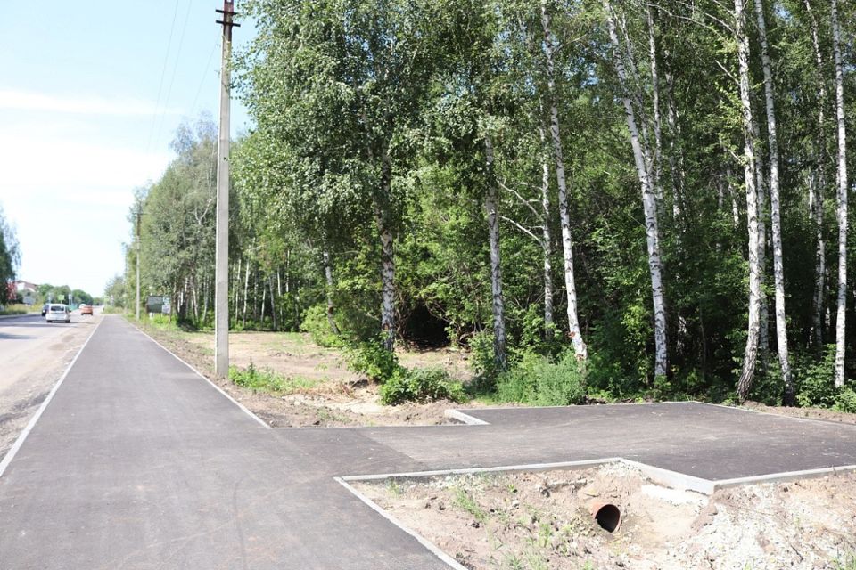 В Барнауле продолжаются работы по благоустройству березовой рощи на улице Юрина