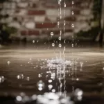 Жильцы дома в центре Барнаула бьют тревогу из-за водопада в подвале: видео