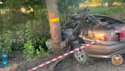Трое погибли, одна пассажирка выжила: смертельная авария произошла под Калининградом