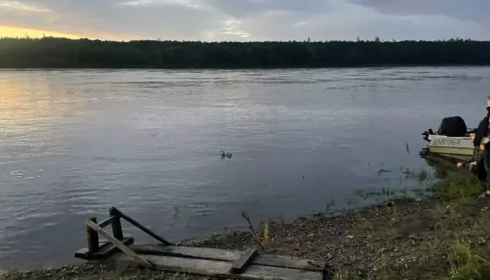 Двухлетний ребенок ушел со двора и утонул в реке. Фото