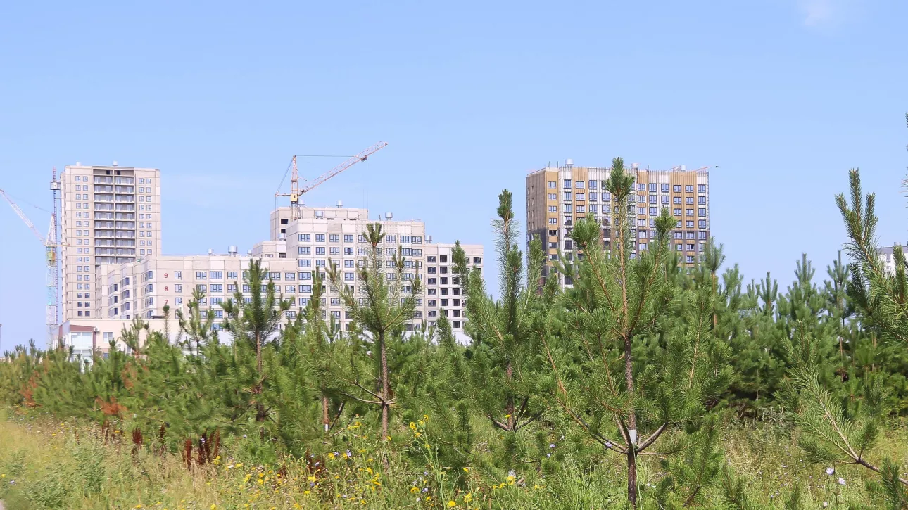 Уже не горячие пирожки. Составлен рейтинг распроданности квартир в новых ЖК Барнаула
