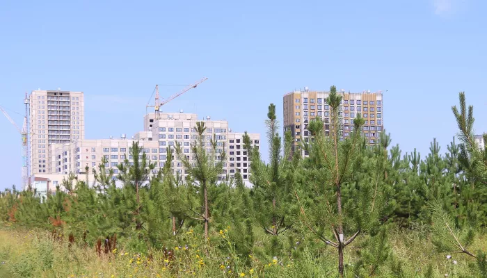 Уже не горячие пирожки. Составлен рейтинг распроданности квартир в новых ЖК Барнаула