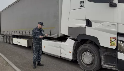 Бахчевой сезон: Алтайский край импортировал более 2 тысяч тонн арбузов и дынь