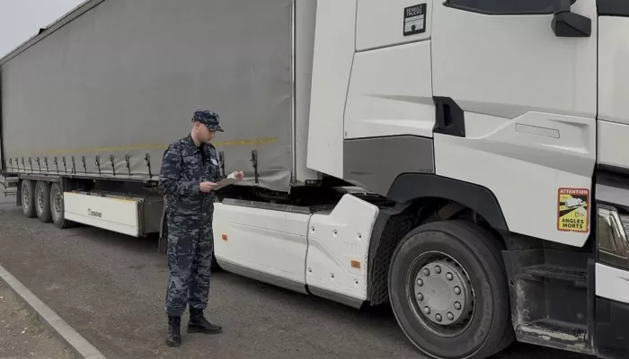 Бахчевой сезон: Алтайский край импортировал более 2 тысяч тонн арбузов и дынь