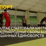 Алтай объединил бойцов: международные сборы по ММА проходят на берегу Катуни