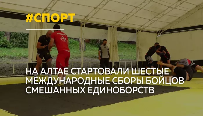 Алтай объединил бойцов: международные сборы по ММА проходят на берегу Катуни