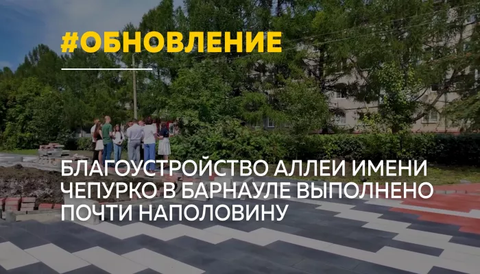 Аллею имени Анатолия Чепурко в Барнауле благоустроили уже на 44%
