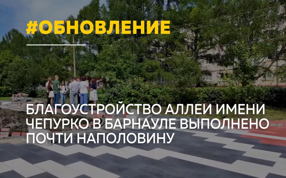 Аллею имени Анатолия Чепурко в Барнауле благоустроили уже на 44%
