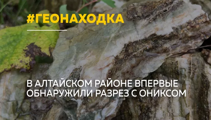 Ученые и школьники исследуют первый найденный в Алтайском крае разрез с ониксом