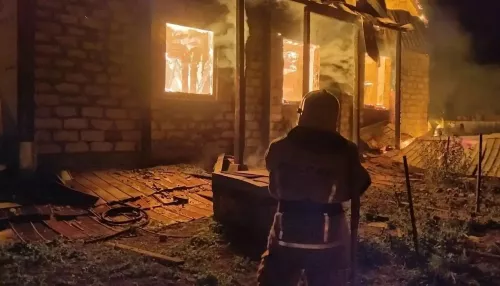 Многодетная семья в Алтайском крае осталась без крыши над головой из-за пожара