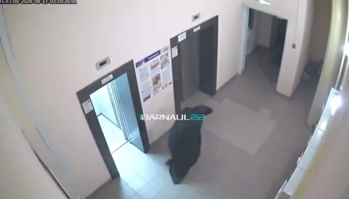 Неизвестный в черной мантии провел странный ритуал у квартиры барнаульской пары