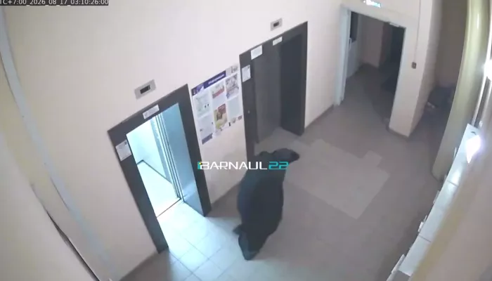 Неизвестный в черной мантии провел странный ритуал у квартиры барнаульской пары