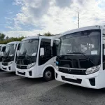 Полсотни новых автобусов привезли в Алтайский край: где ждать обновления