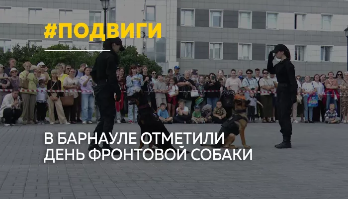 В Барнауле отметили День фронтовой собаки и вспомнили подвиги четвероногих героев