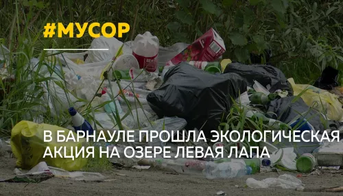 В Барнауле очистили от мусора берег озера Левая Лапа