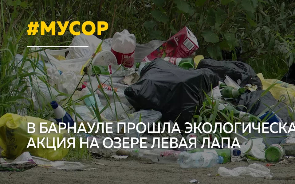 В Барнауле очистили от мусора берег озера Левая Лапа