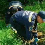 Спасатели вытащили из оврага двух мужчин с опарышами во рту