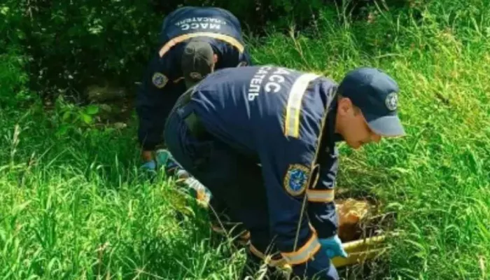 Спасатели вытащили из оврага двух мужчин с опарышами во рту