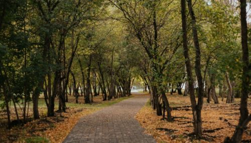 Осенние виды барнаульского сквера Химиков