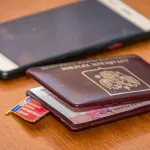 Медведь набрал жира: как распределятся мандаты нового созыва АКЗС между партиями
