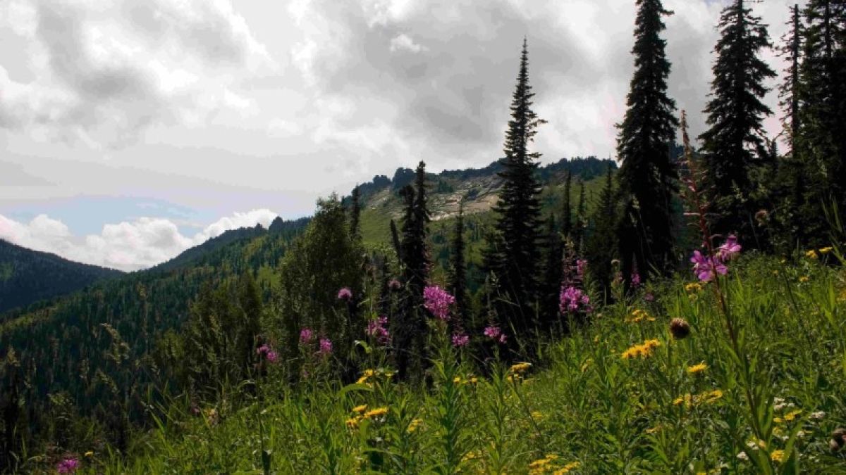Национальный парк "Горная Колывань" появится на Алтае
