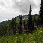 Национальный парк Горная Колывань появится на Алтае
