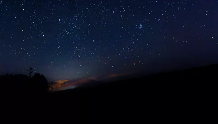Таинственный лес и звездное небо: как выглядит медвежий угол на берегу Обского моря