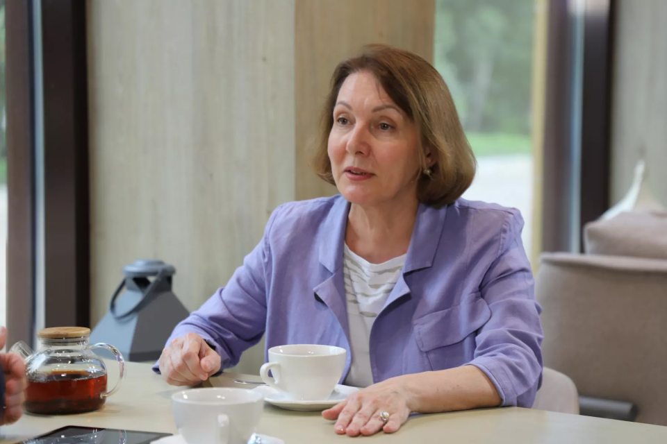Елена Метель
