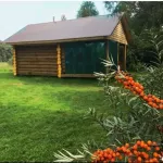 Базу отдыха с двумя тоннами рыбы в пруду продают в Алтайском крае за 12 млн руб. Фото