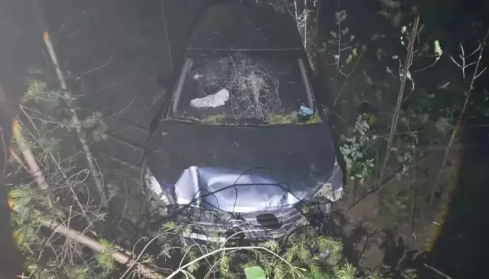 Hyundai съехал в кювет: 61-летний мужчина погиб на месте ДТП