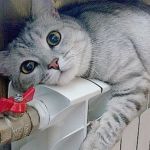 Действительно ли выгодно платить за тепло по приборам учета?