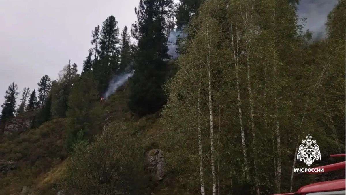 Лесной пожар в Турочакском районе Республики Алтай