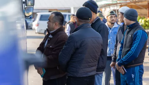 Сравнять налоги: в Алтайском крае увеличат стоимость патента для трудовых мигрантов