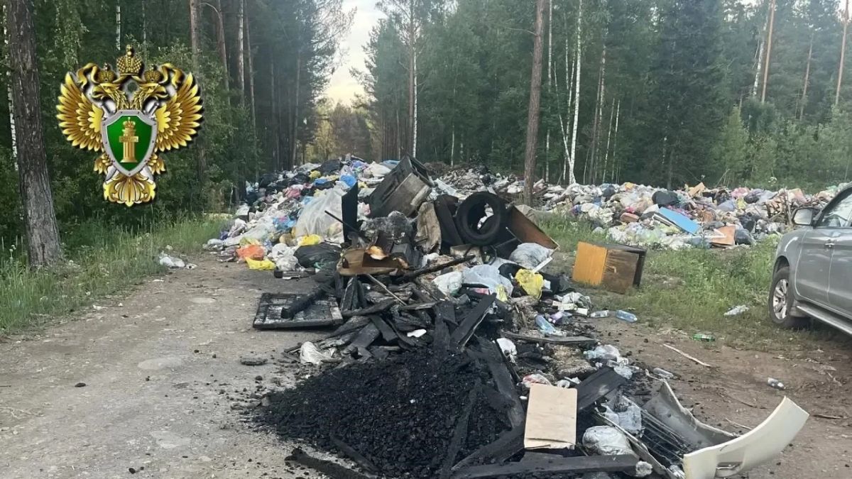 Несанкционированная свалка в Турочакском районе Республики Алтай