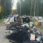 Стихийную свалку в Республике Алтай убрали после вмешательства прокуратуры