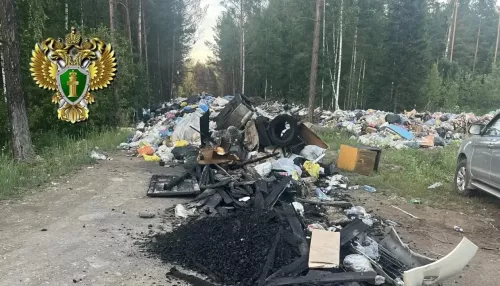 Стихийную свалку в Республике Алтай убрали после вмешательства прокуратуры