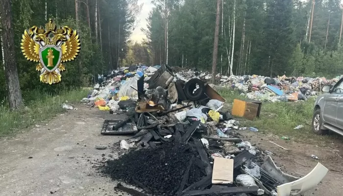 Стихийную свалку в Республике Алтай убрали после вмешательства прокуратуры