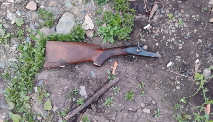 Жителя Солонешенского района обвиняют в попытке убийства отца и сына в маральнике