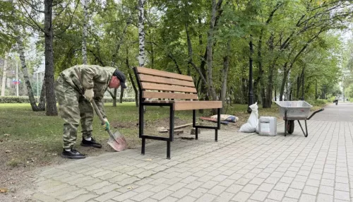 В Барнауле на аллее по улице Малахова установили новые скамейки по просьбе жителей