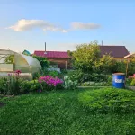 В черте Барнаула за 900 тысяч рублей продают дачу с богатым садом. Фото