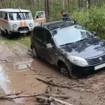 Грибник из Барнаула заблудился в лесу под Павловском