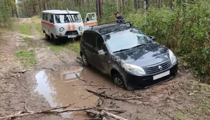 Грибник из Барнаула заблудился в лесу под Павловском