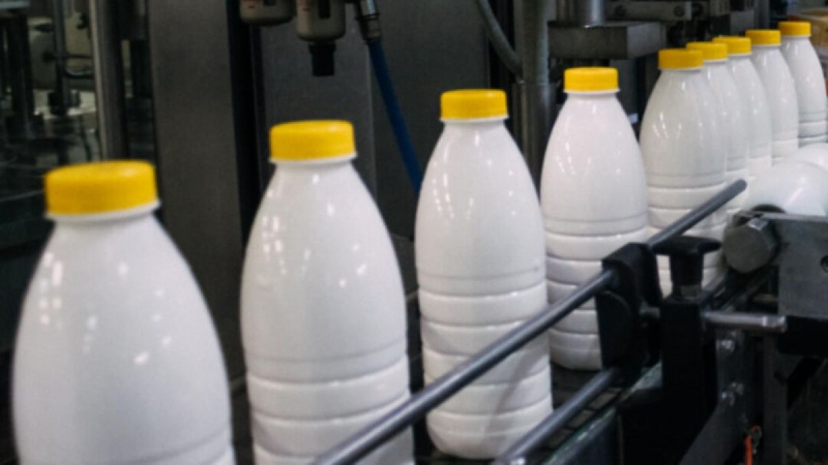 Подорожает ли молочная продукция в Алтайском крае из-за дополнительного контроля