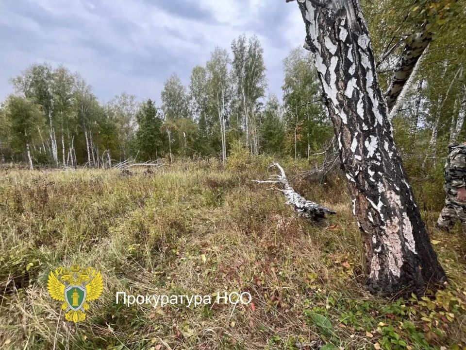 Место происшествия