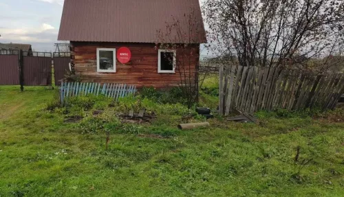 Медведь убил 66-летнюю женщину в ее доме в Красноярском крае