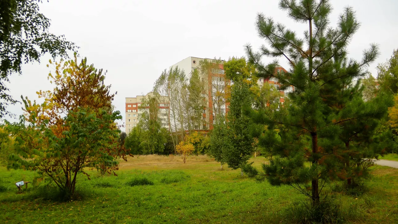 Золото в зелени и релакс: как осень меняет облик и вайб Мизюлинской рощи в Барнауле. Фото