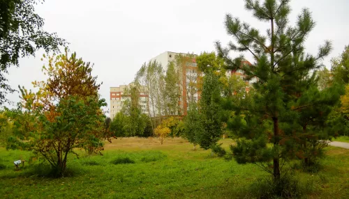 Золото в зелени и релакс: как осень меняет облик и вайб Мизюлинской рощи в Барнауле. Фото