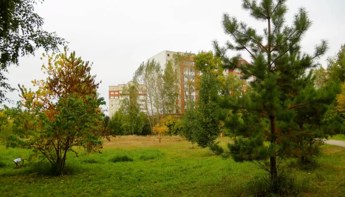 Золото в зелени и релакс: как осень меняет облик и вайб Мизюлинской рощи в Барнауле. Фото