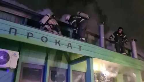В барнаульском парке Изумрудный ранним утром вспыхнул пожар